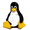 CSS logo